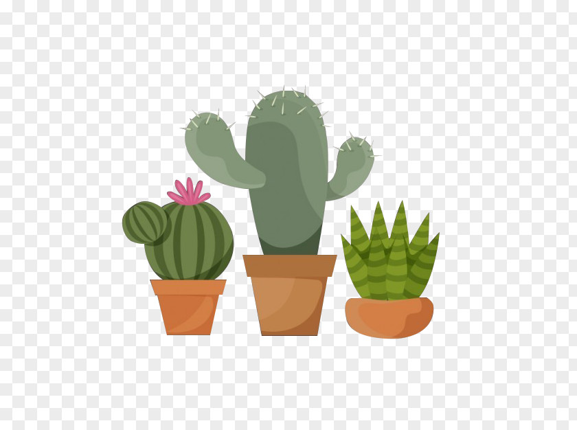 Potted Cactus Cactaceae Flowerpot Plant PNG