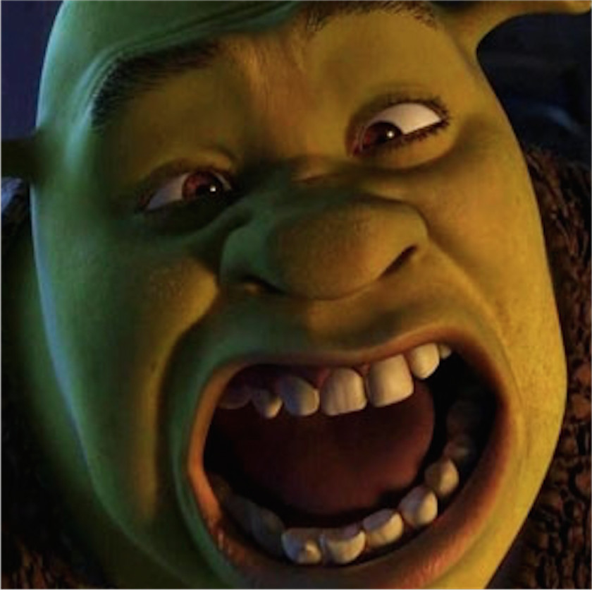 Shrek Film Series Donkey Puss In Boots Princess Fiona PNG