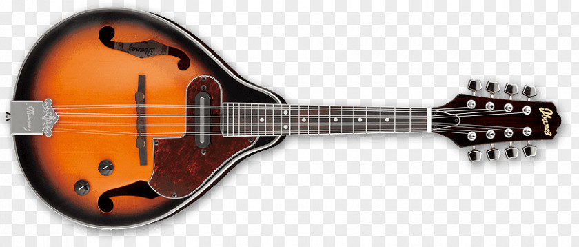 Acoustic Jam Mandolin Ibanez M510 Guitar Acoustic-electric PNG