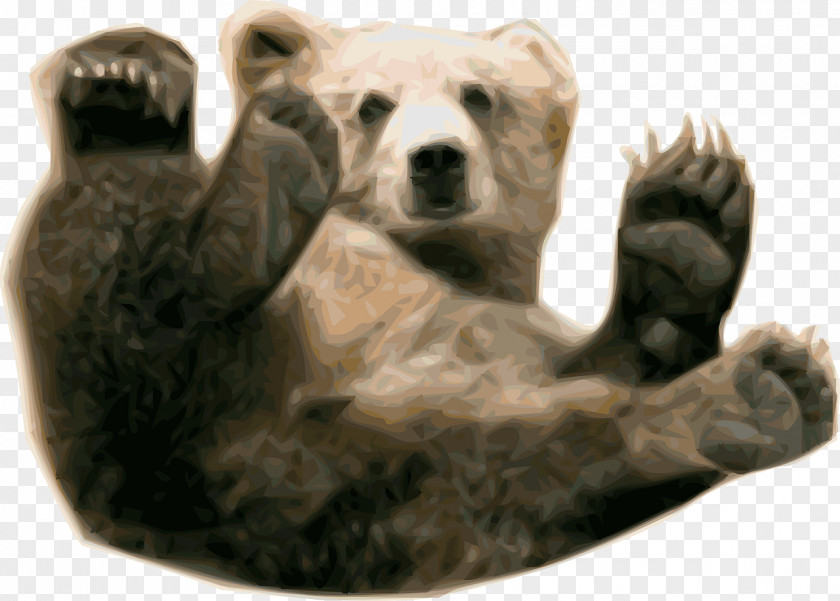 Baby Bear Brown Grizzly Polar Clip Art PNG