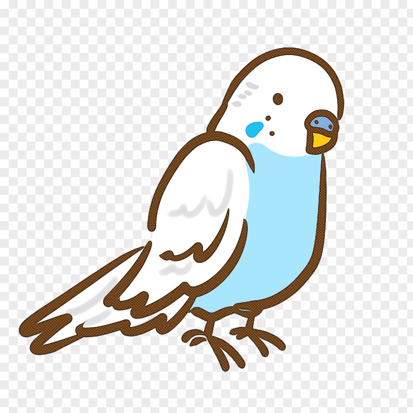 Beak Finches Birds Budgerigar Parrots PNG