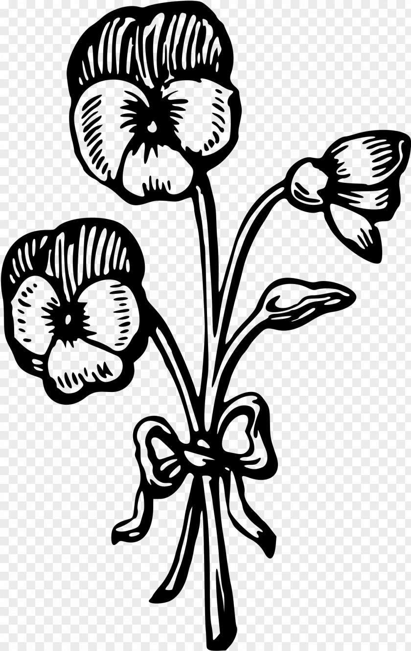 Floral Design Elder Clip Art PNG