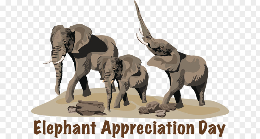 Lion Savanna African Bush Elephant Elephantidae Valencia Bioparc PNG