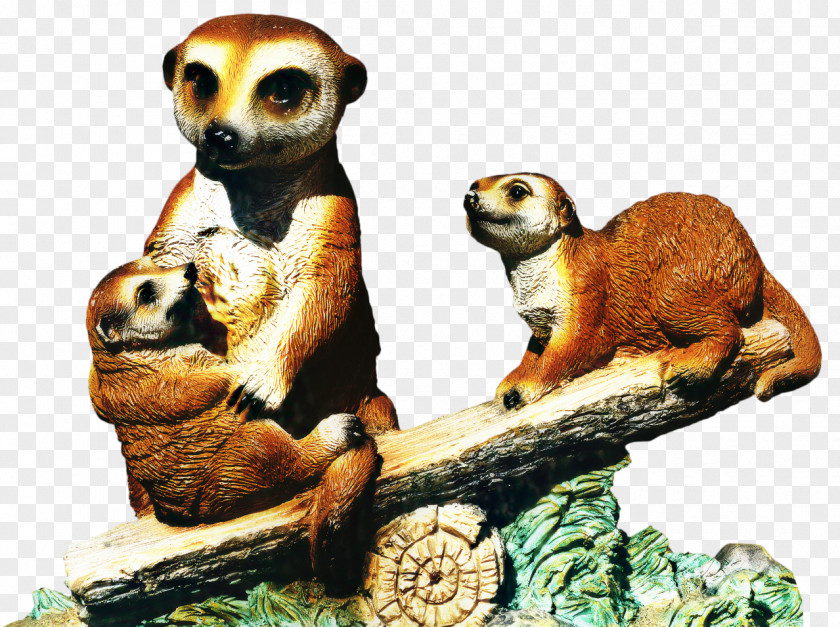 Meerkat Fauna Terrestrial Animal PNG