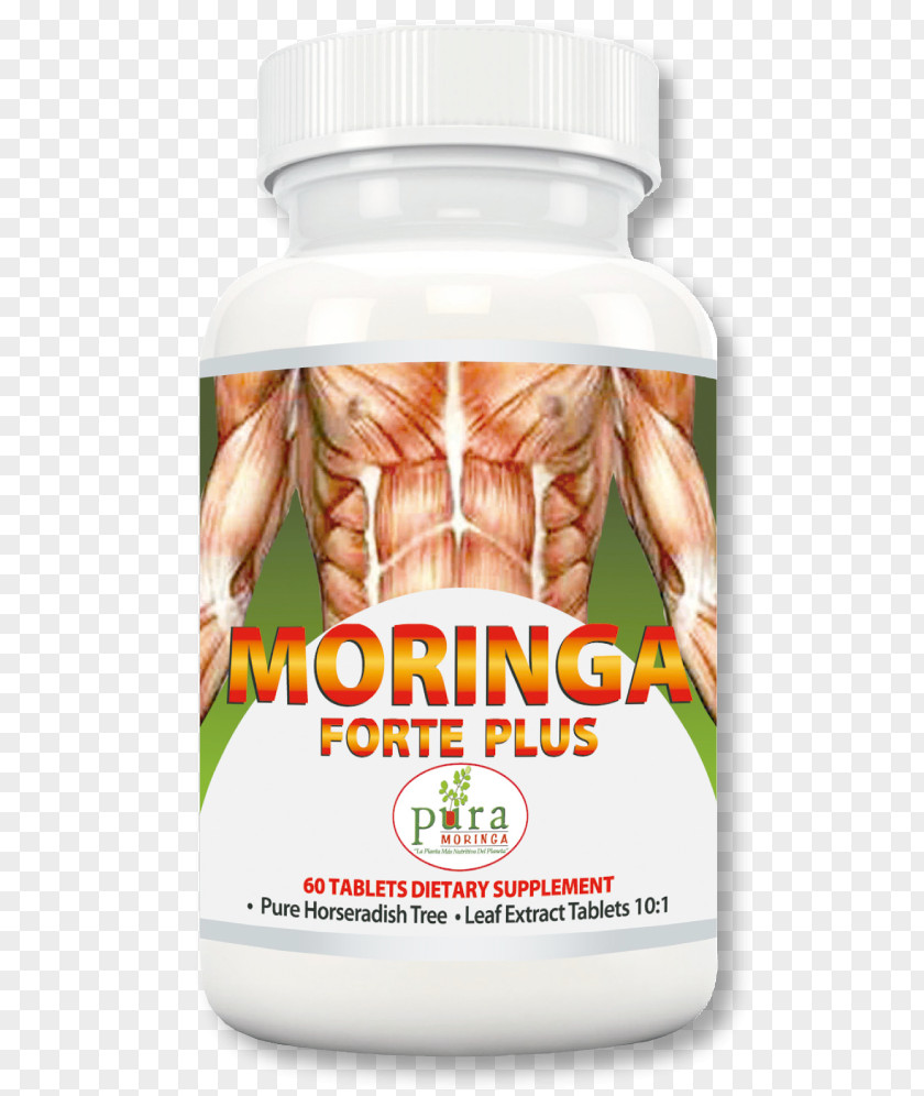 Moringa Leaves Dietary Supplement Garcinia Cambogia Drumstick Tree Weight Loss PNG