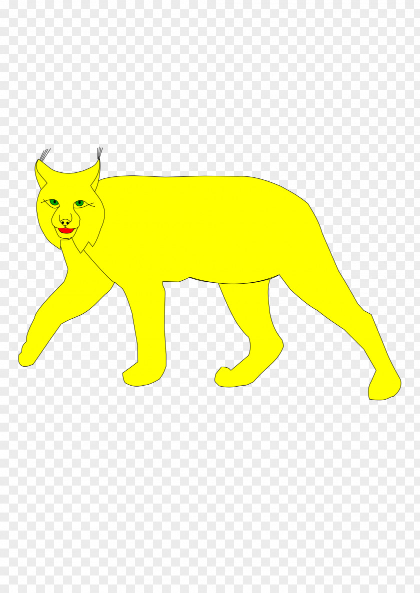 Cat Mammal Animal Carnivora Dog PNG