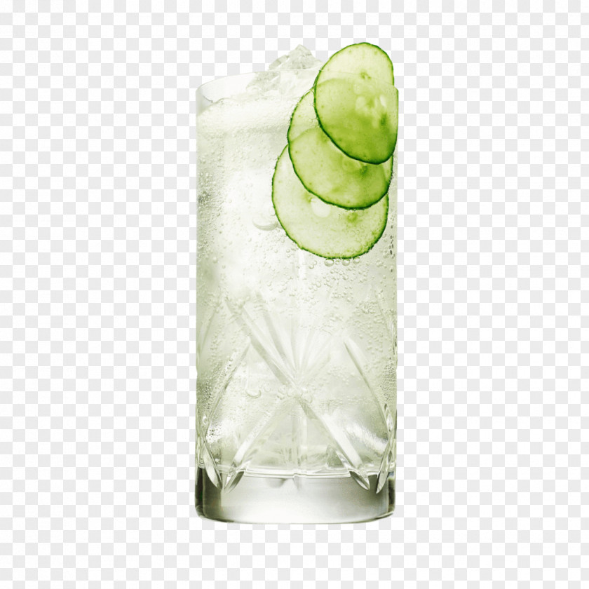 Cocktail Gin And Tonic Water Hendrick's PNG
