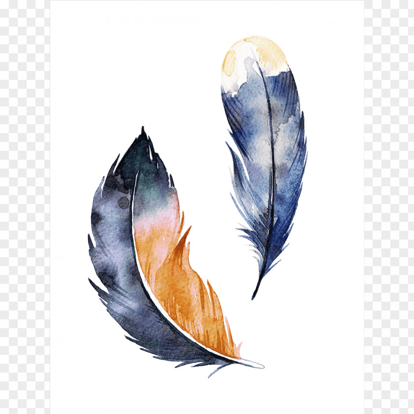 Feather Watercolor Art Film Blog Porcelain Fine PNG
