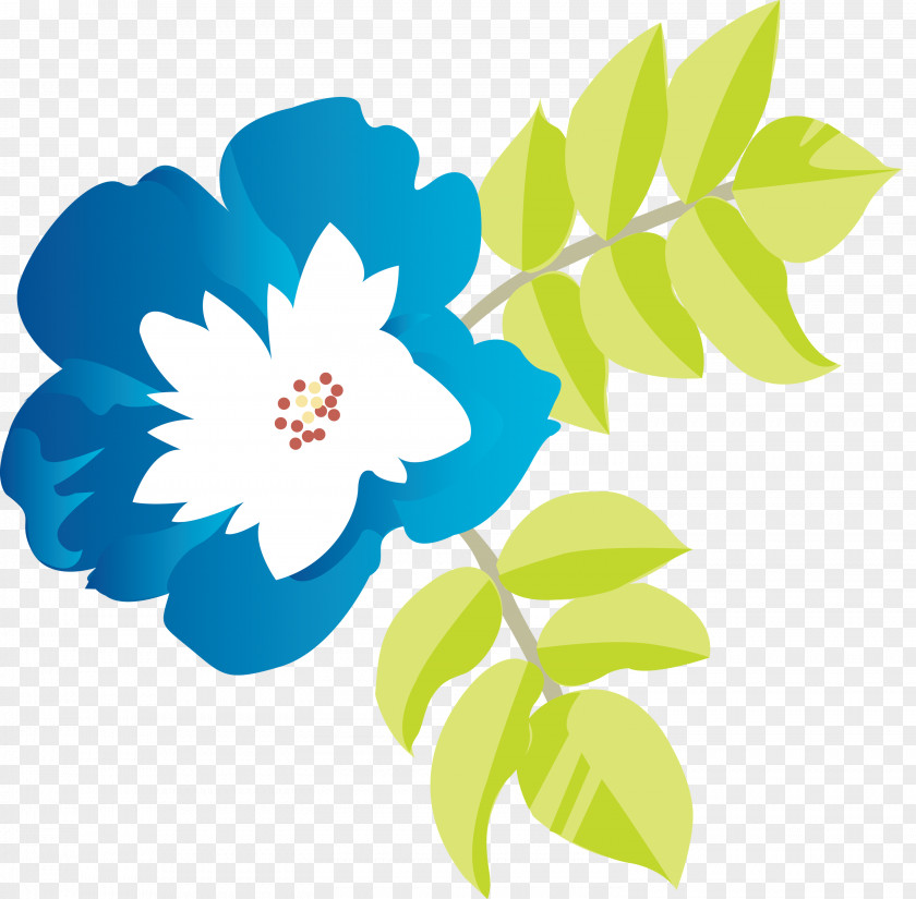 Flower Petal Plant Leaf Wildflower PNG