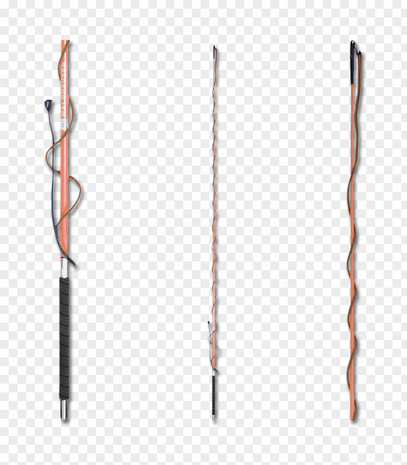 Horse Whip Longeing Dressage Equestrian PNG