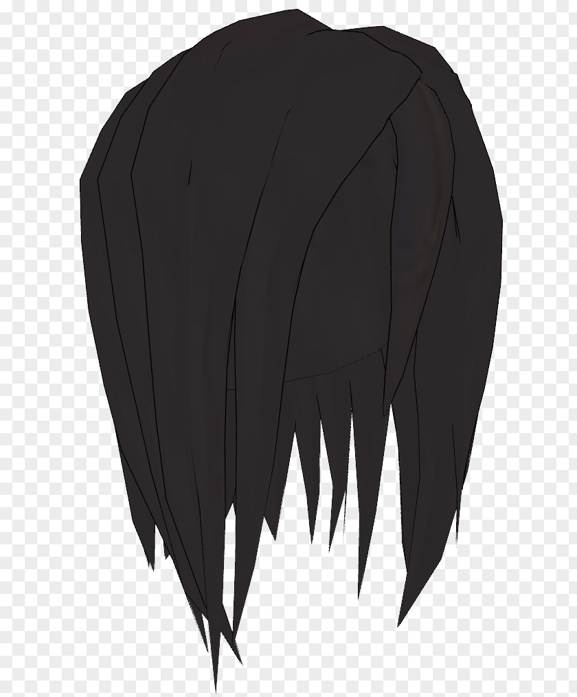 Long Hair Black Bangs Feather PNG