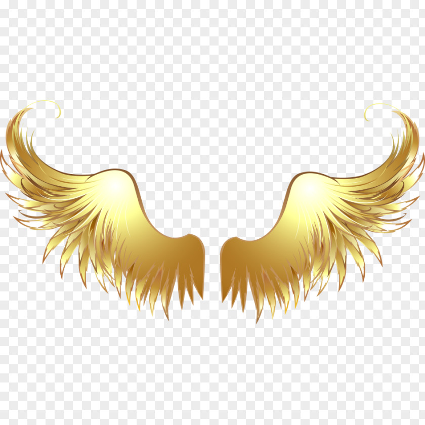 Angel Wings Material Drawing Clip Art PNG