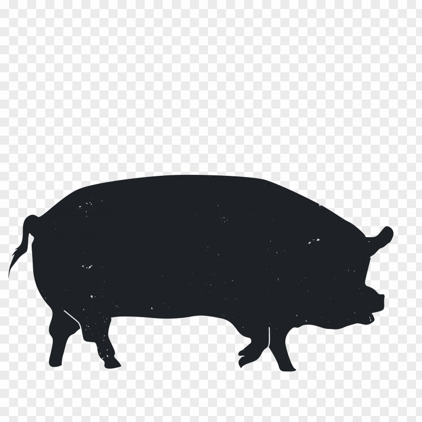 Animal Silhouettes Holstein Friesian Cattle Asturian Valley Domestic Pig Asturias Silhouette PNG