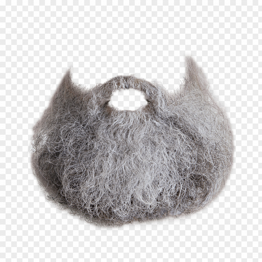 Beard In Kind Clip Art PNG