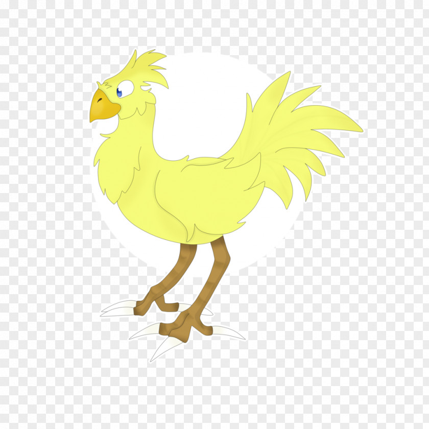 Chicken Rooster Clip Art Illustration Beak PNG