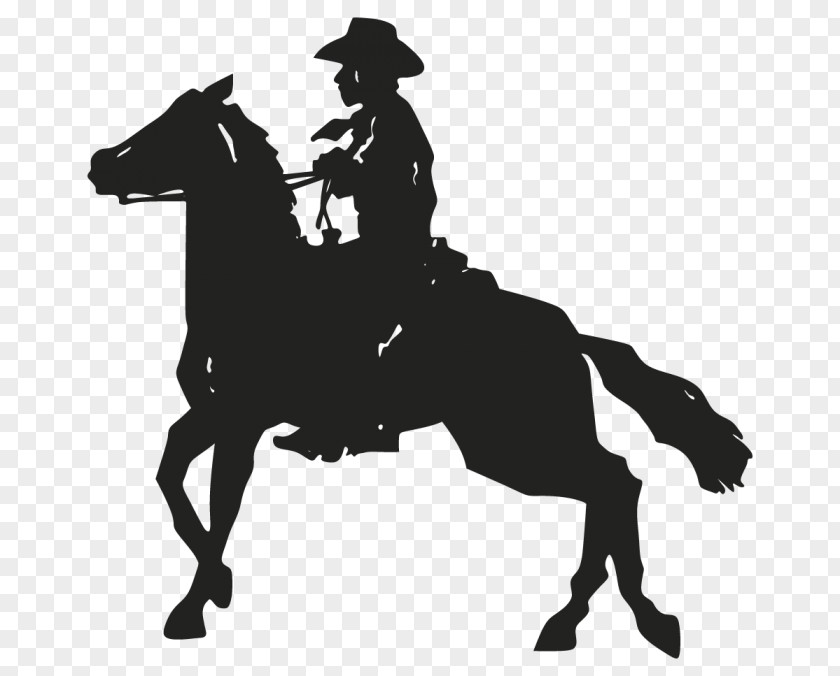 Cowboy Equipment Sticker Mustang English Riding Piracy PNG