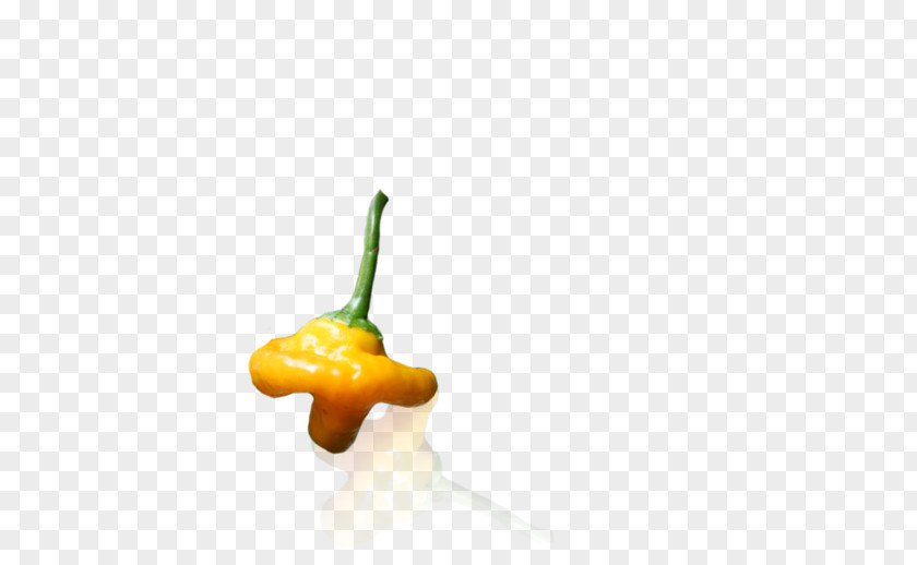 Habanero Chili Pepper Paprika Fruit PNG