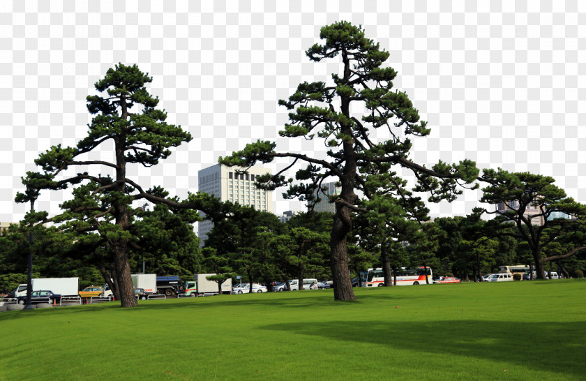 Tokyo Imperial Palace Gaiemmae Ueno Park Bay PNG