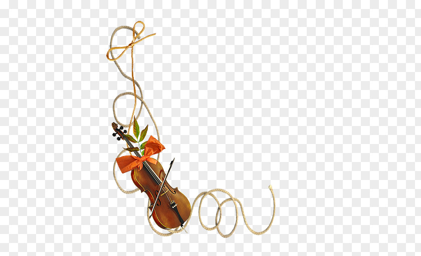 Violin October 30 Cello Musical Instruments PNG