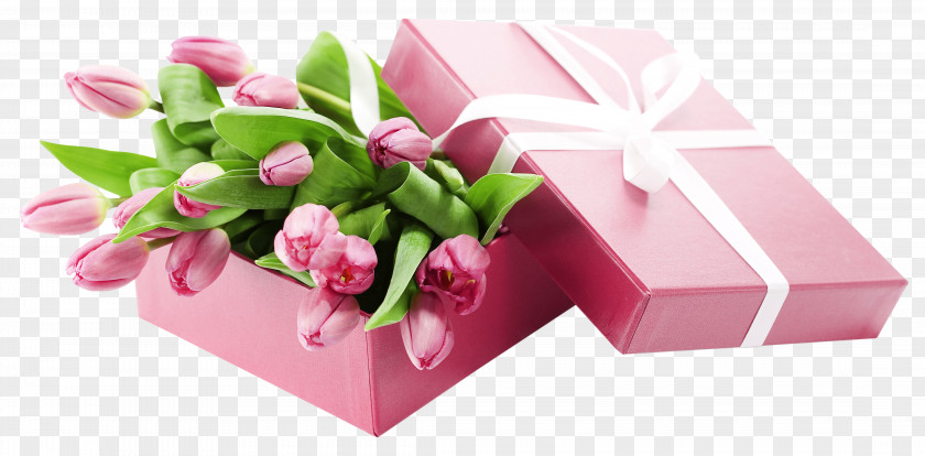 Box With Pink Tulips Transparent Picture Tulip Clip Art PNG