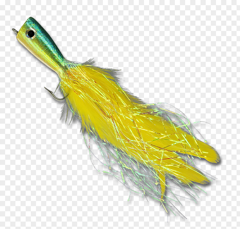 Feather PNG