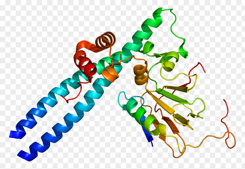 Mito Class E2F1 Transcription Factor Retinoblastoma Protein PNG