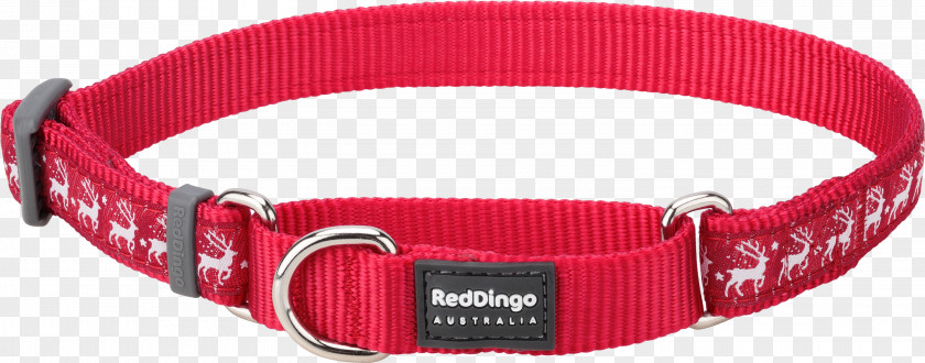 Red Collar Dog Buckle Dingo PNG