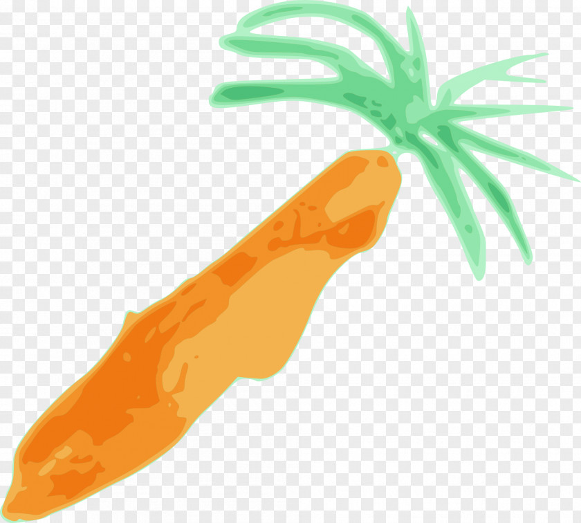 Carrot Blog Clip Art PNG