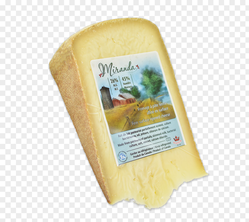 Cheese Parmigiano-Reggiano Gruyère Montasio Pecorino Romano PNG