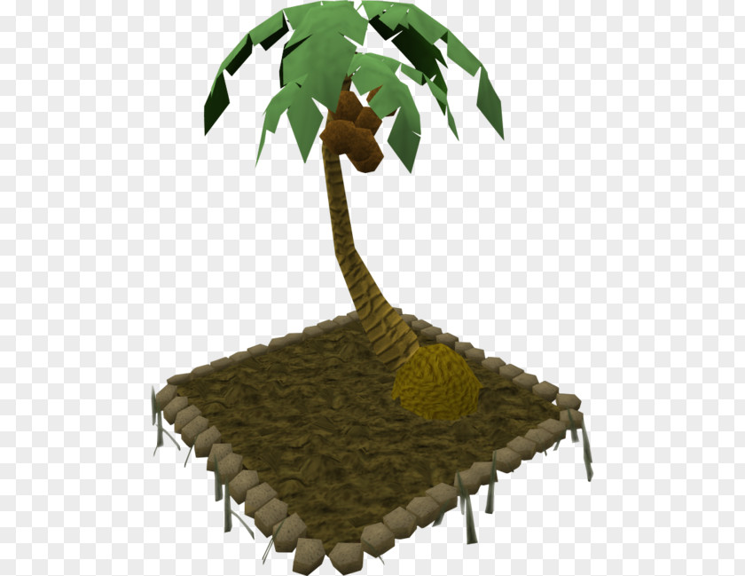 Money Tree Organism Plant Leaf PNG