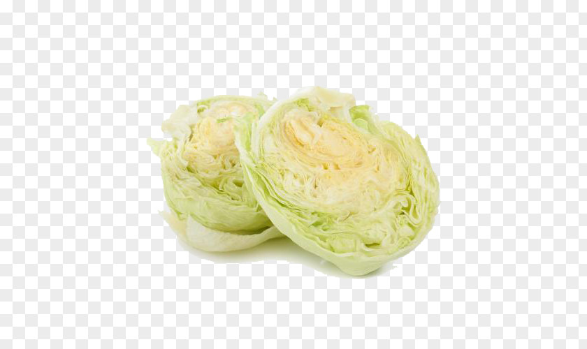 Organic Cabbage Food Download PNG