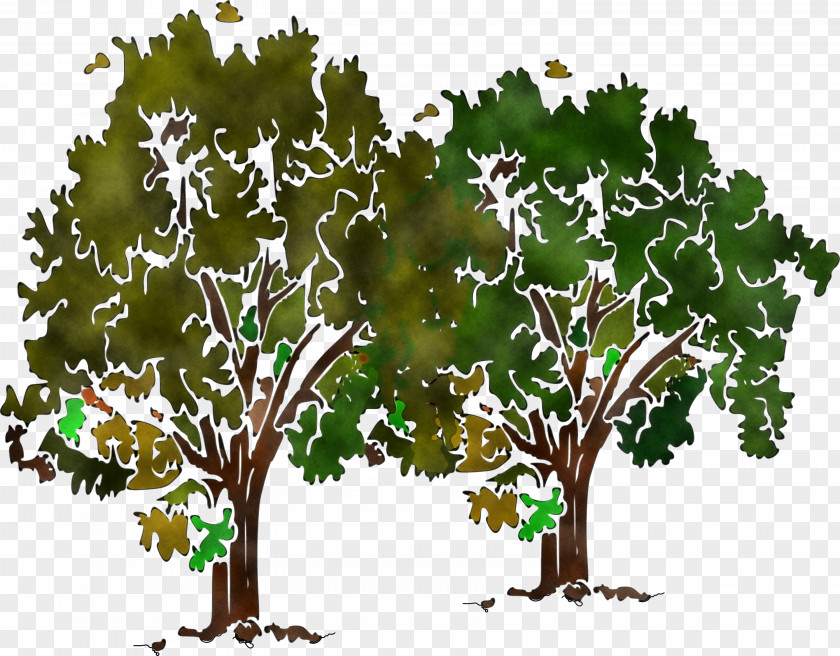 Arbor Day PNG