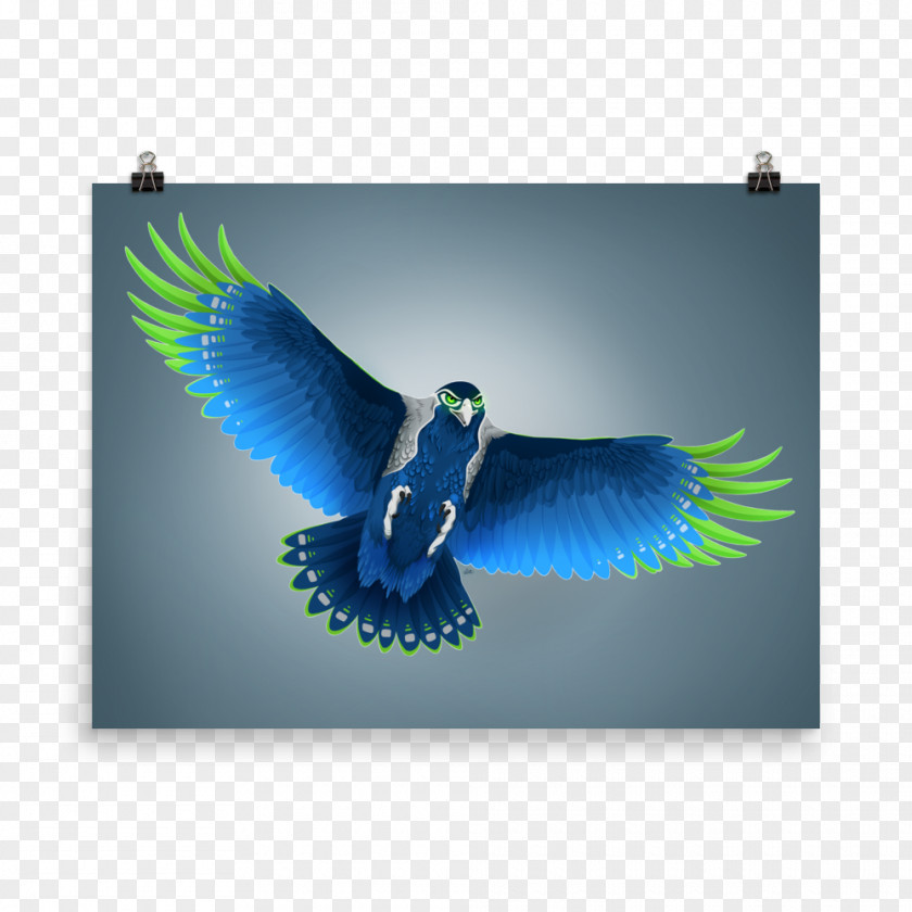 Art Store Beak Fauna Feather Pollinator Microsoft Azure PNG