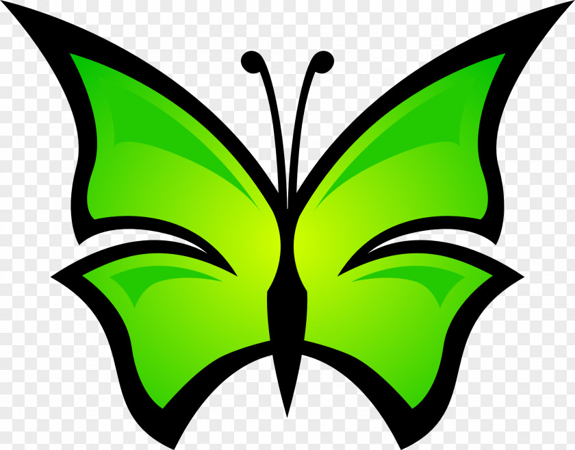 Butterfly Image Icon Clip Art PNG