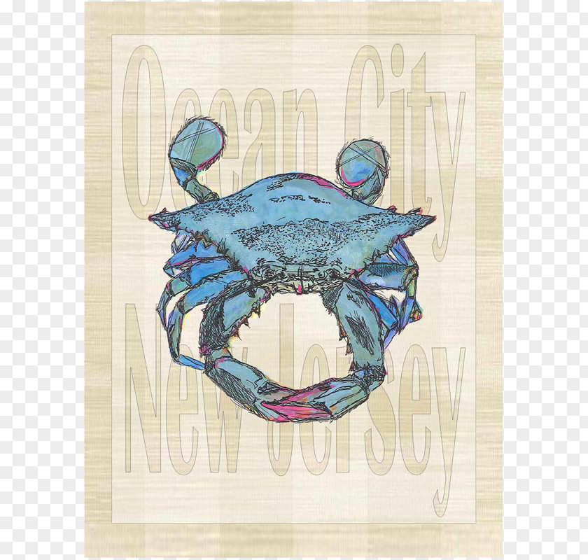 Crab Dungeness Turquoise PNG