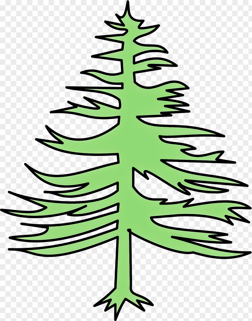 American Larch Plant Christmas Tree PNG