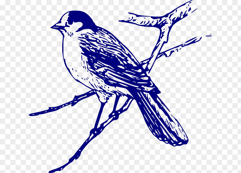 Bird Clip Art PNG