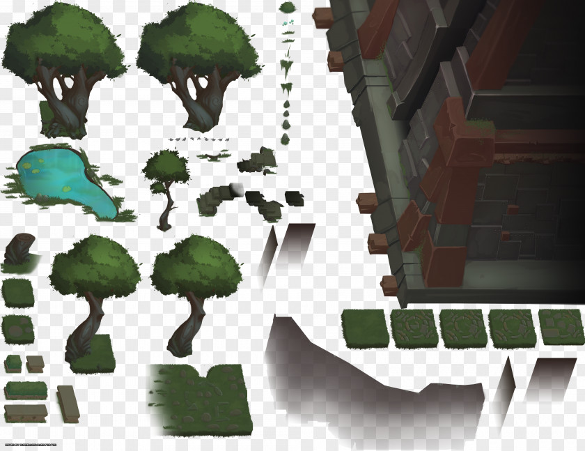 Design Biome PNG