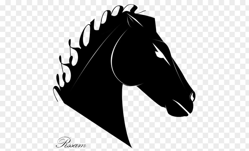 Eid Lafiter Horse DeviantArt Graphic Design PNG