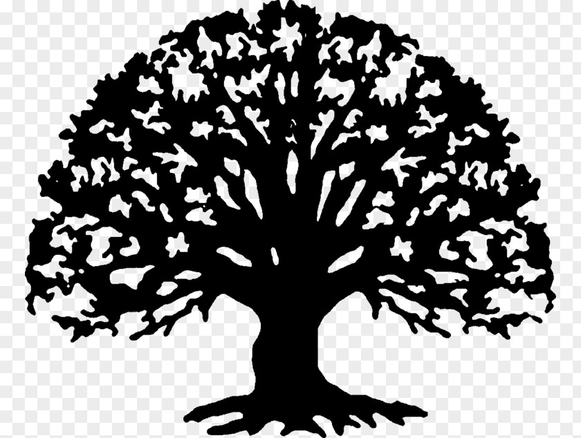 Family Reunion Tree Clip Art PNG