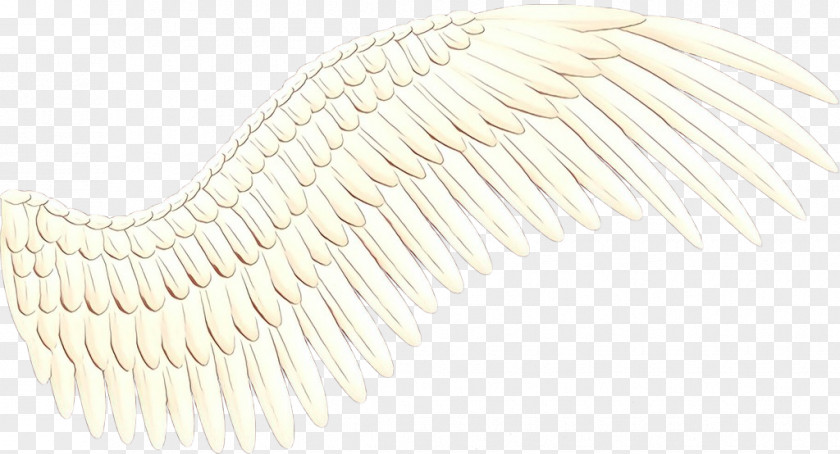 Feather Wing White Background PNG