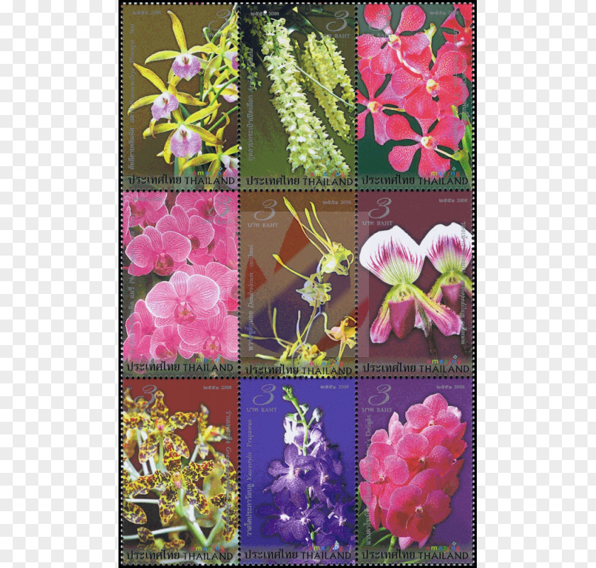 Flower Thailand Postage Stamps First Day Of Issue Orchids Mail PNG
