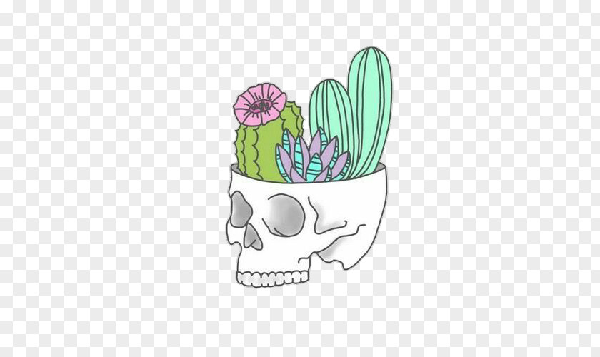 Skull Cactaceae Sticker Succulent Plant Drawing Clip Art PNG