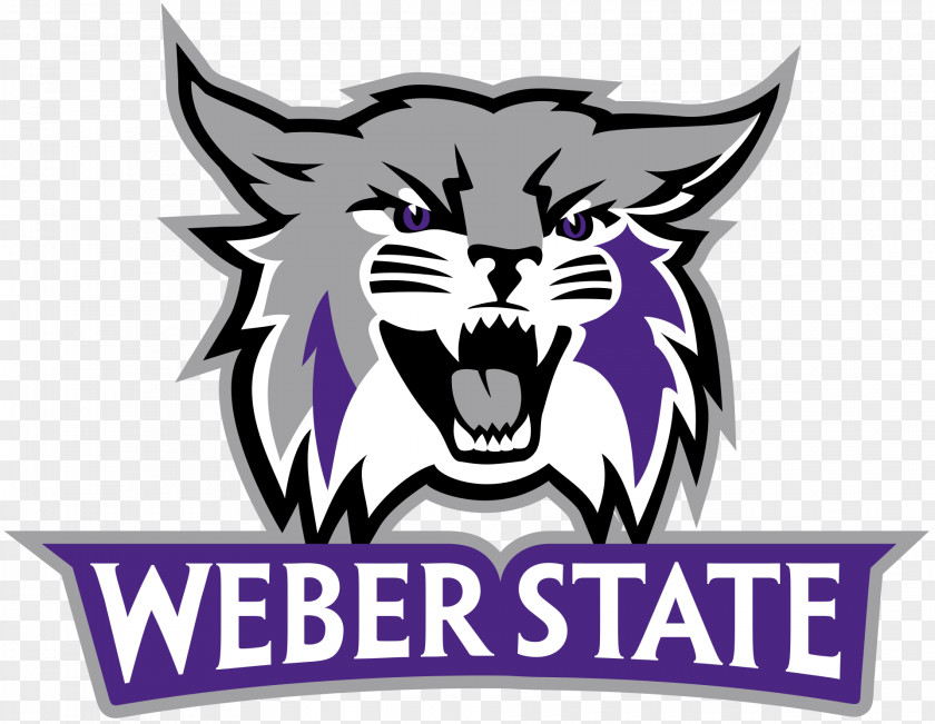 Beehive Weber State Wildcats Football University Men's Basketball Women's Arkansas Razorbacks PNG