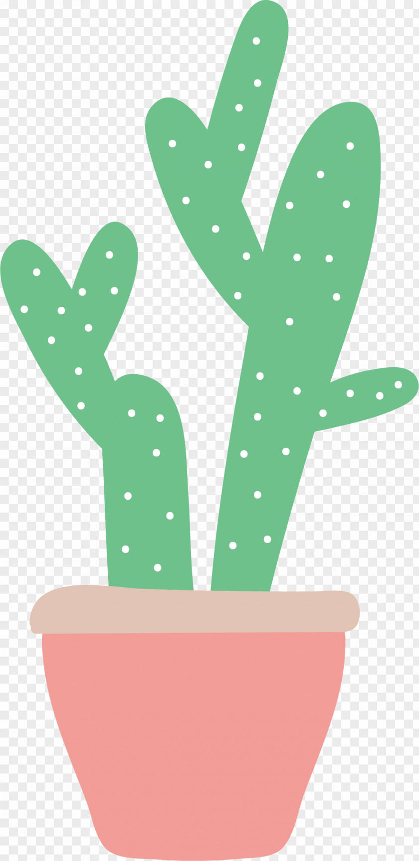 Cactus Vector Cactaceae Euclidean PNG
