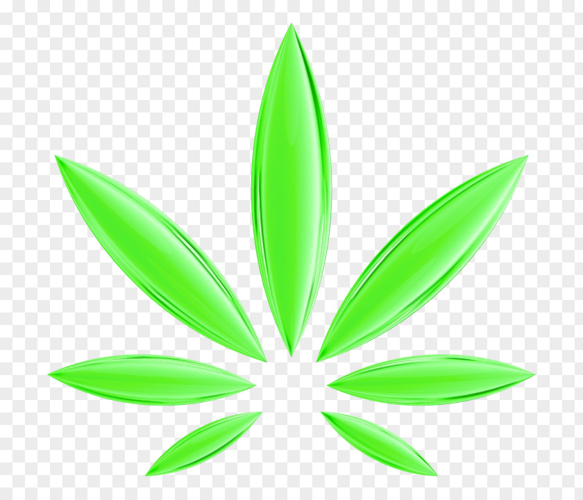 Flower Botany Cannabis Leaf Background PNG