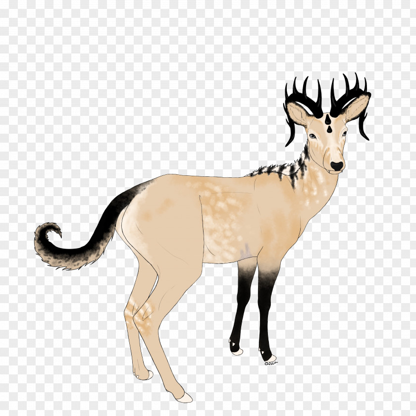 Grey Eye Antelope Deer Goat Horn Wildlife PNG