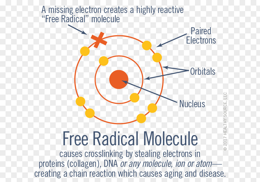 Health Free-radical Theory Of Aging Ageing Cross-link Molecule PNG