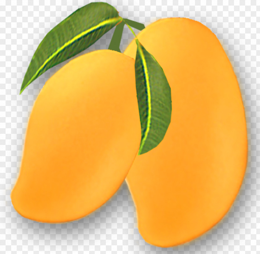 Mango Alphonso Fruit Clip Art PNG