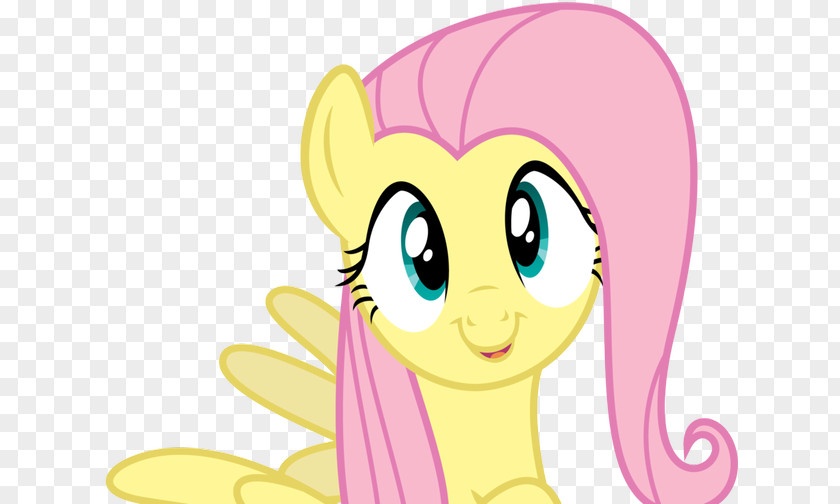 My Little Pony Fluttershy Rainbow Dash Screenshot Art PNG